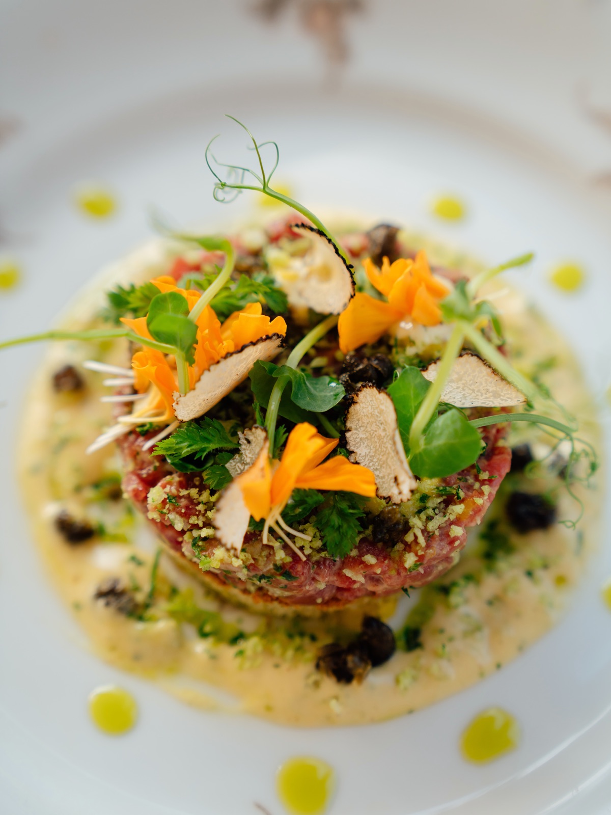Steak tartare with shaved truffle and marigold petals on a white plate